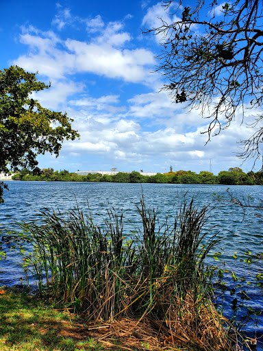 Park «Royal Palm Park», reviews and photos, 1701 NW 38th St, Oakland Park, FL 33309, USA