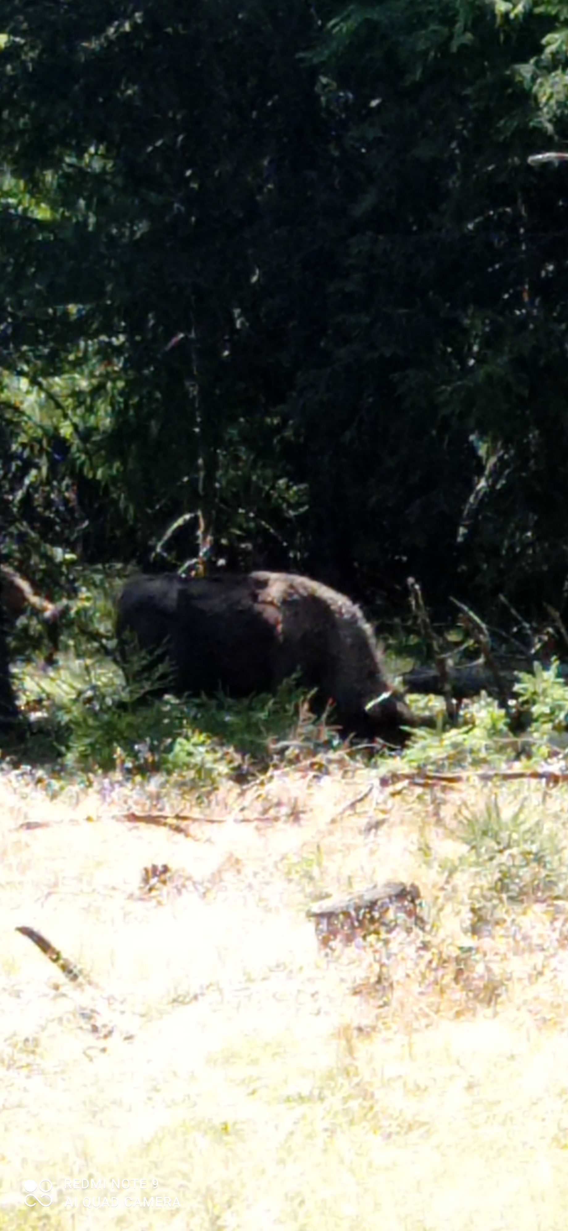 Photo n° 4 de l'avis de Celine.a fait le 15/08/2022 à 17:43