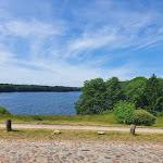 Photo n°6 de l'avis de Ingo. fait le 16/06/2021 à 16:00 sur le  Grill -Eck Rost à Feldberger Seenlandschaft