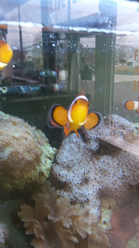 Pet Store «Fins Feathers Paws & Claws», reviews and photos, 436 Main St, Harleysville, PA 19438, USA