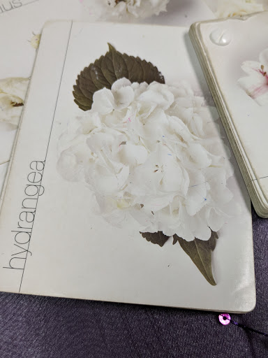 Florist «The Flowerman», reviews and photos, 70A Westpark Rd, Dayton, OH 45459, USA