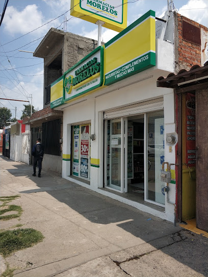 Farmacias Morelos Av Ignacio García Téllez 314, Villareal, 36597 Irapuato, Gto. Mexico