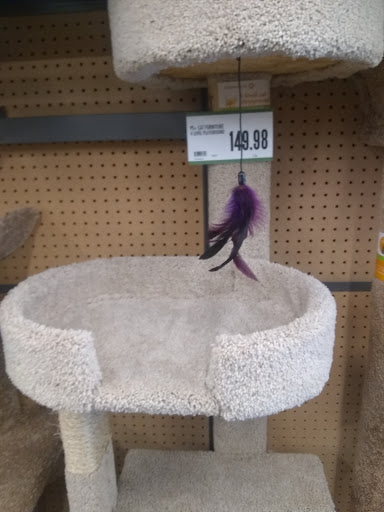 Pet Supply Store «Pet Supplies Plus», reviews and photos, 21703 Village Lakes Shopping Center Dr, Land O Lakes, FL 34639, USA