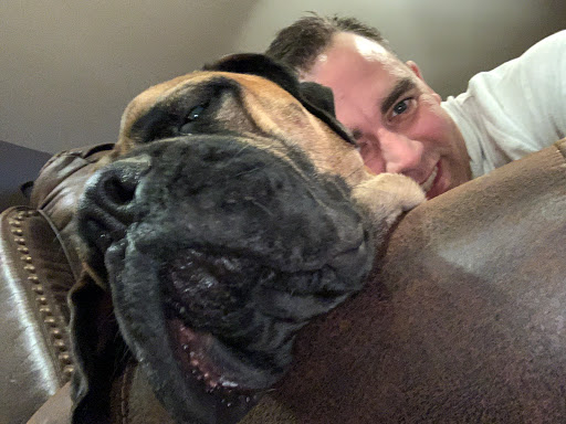 Pet Supply Store «Dog Krazy», reviews and photos, William St, Fredericksburg, VA 22401, USA