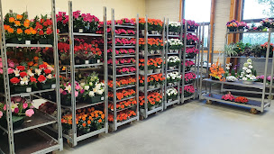 Photo n°2 de Jlb - Roséa à Mozé-sur-Louet ()