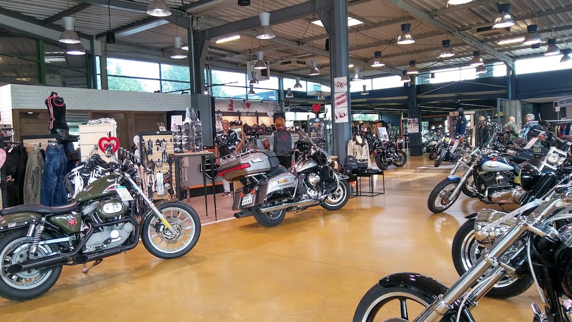 AMERICAN MOTOS HARLEY-DAVIDSON à Toulouse