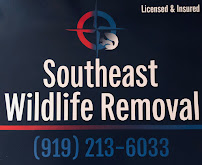 Southeast Wildlife & Pest Control, LLC - Photo 7 - Car repair in , Raleigh