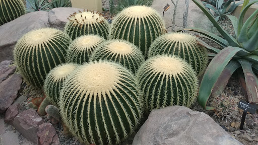 Gift Shop «Meijer Gardens Gift Shop», reviews and photos, 1000 E Beltline Ave NE, Grand Rapids, MI 49525, USA