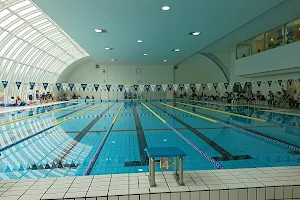 Nantoshi Fukumitsu Swimming Pool image