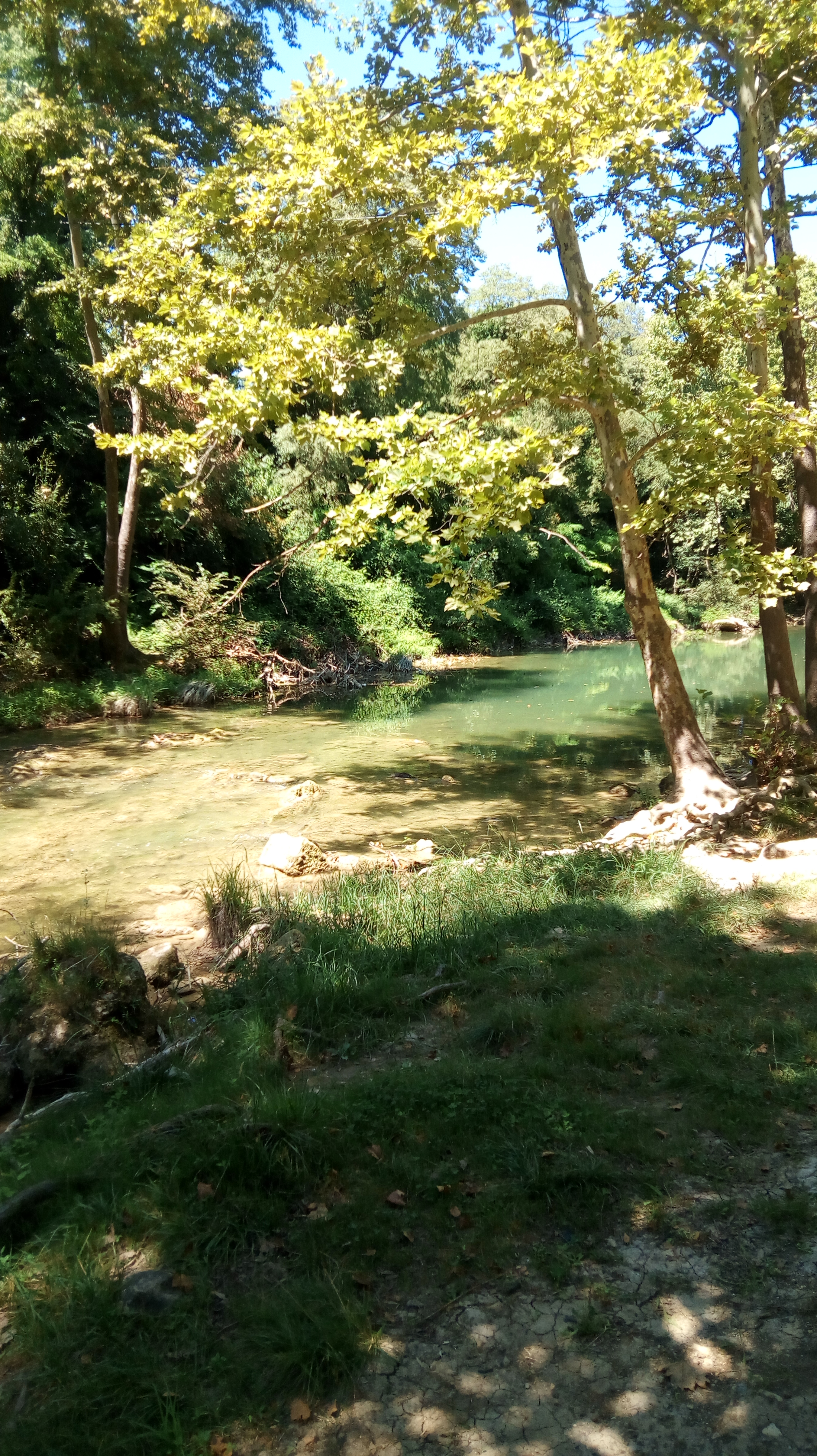 Photo n° 8 de l'avis de balades. fait le 11/07/2018 à 13:22