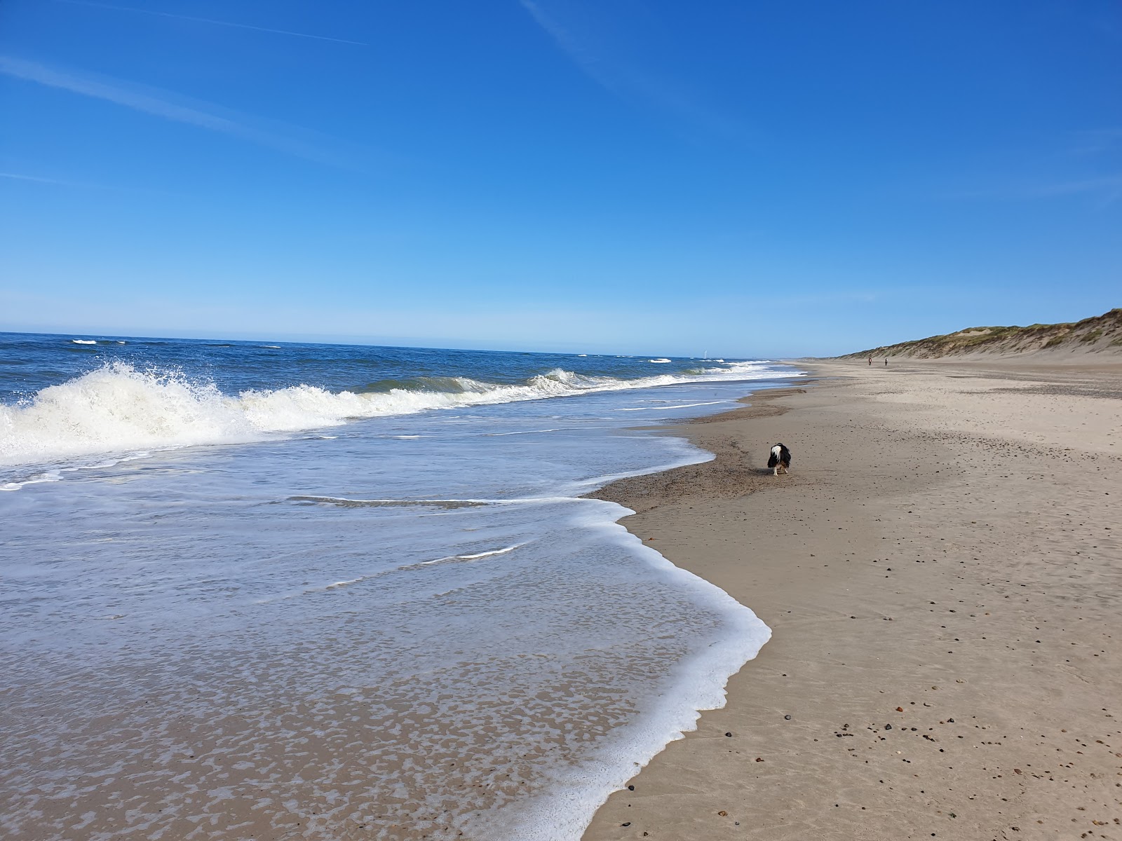 Bjerregard Beach的照片 带有碧绿色纯水表面