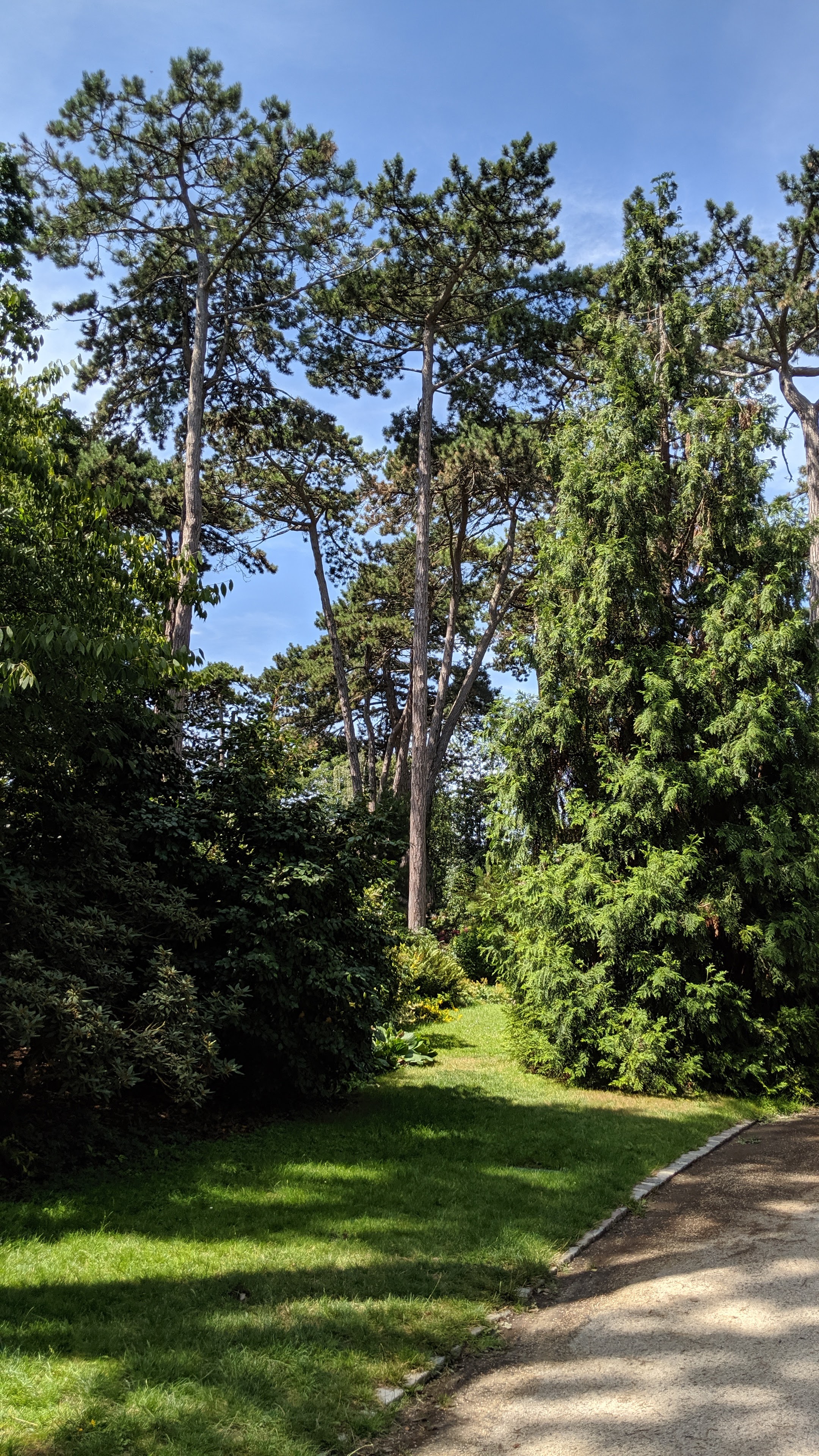 Photo n° 12 de l'avis de Jose.u fait le 28/07/2019 à 17:10