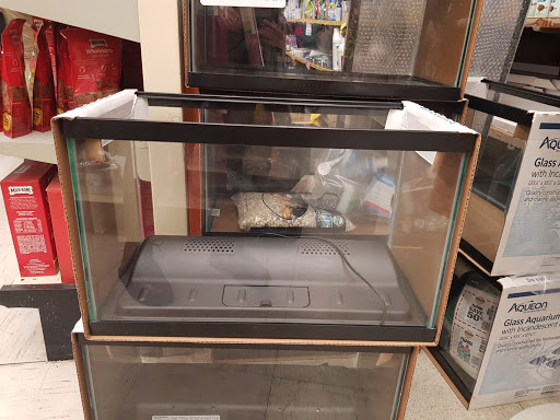 Petland Discounts - Ridgewood, 55-52 Myrtle Ave, Queens, NY 11385, USA, 