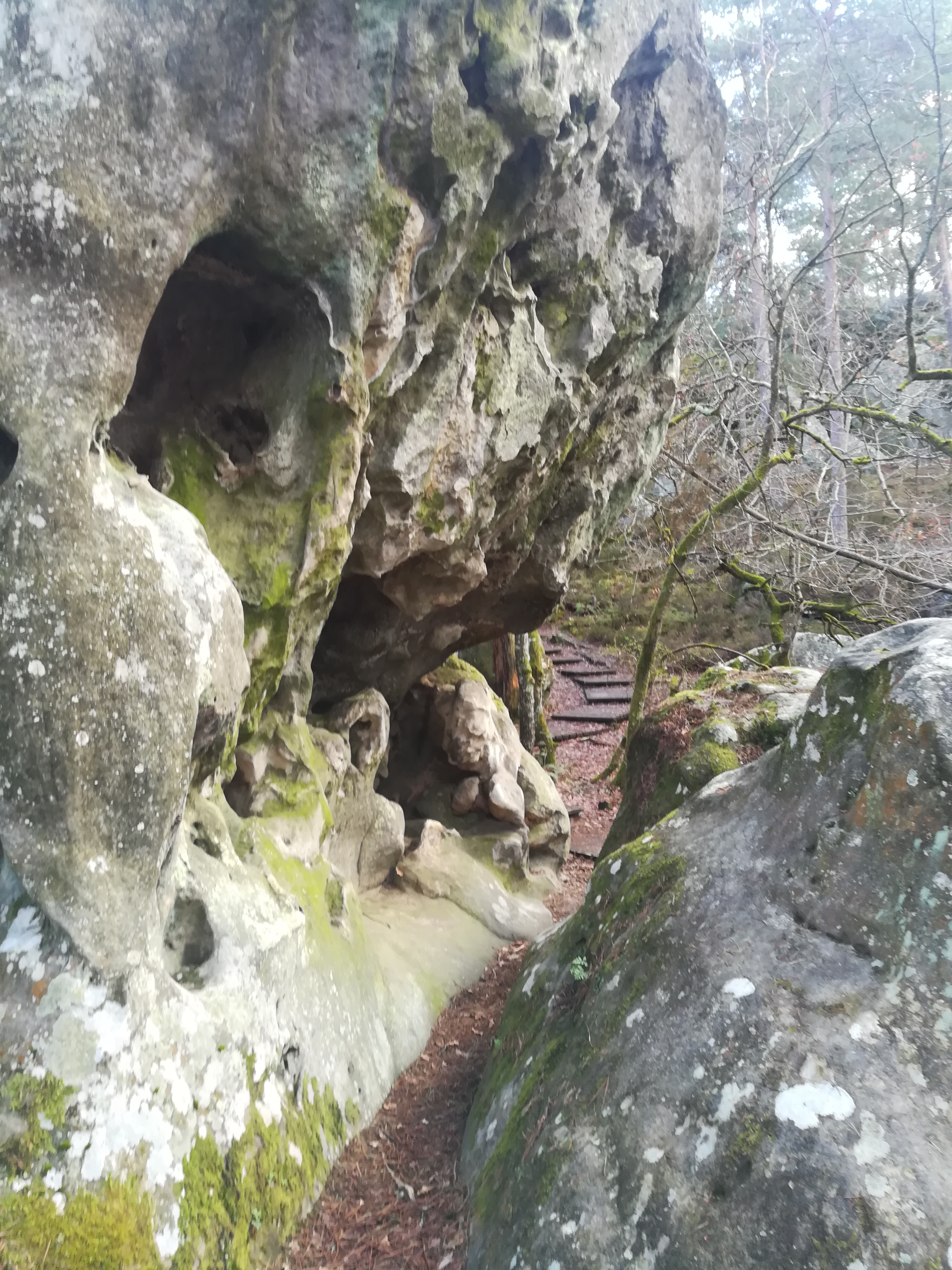 Photo n° 3 de l'avis de Pauline.o fait le 14/03/2020 à 13:35