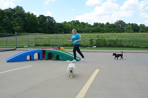Pet Boarding Service «Pet Palace», reviews and photos, 2803 Trough Springs Rd, Clarksville, TN 37043, USA
