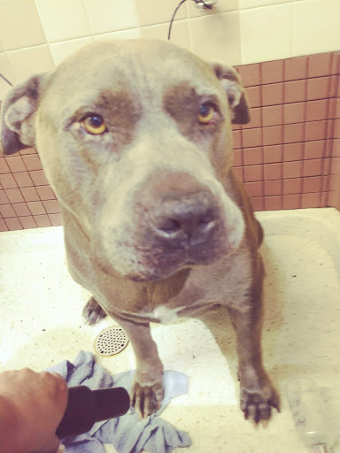 Pet Supply Store «Pet Food Express», reviews and photos, 265 Davis St, San Leandro, CA 94577, USA