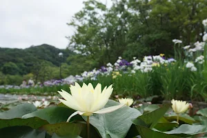 Lake Tōgō Hawai Lakeside Park image