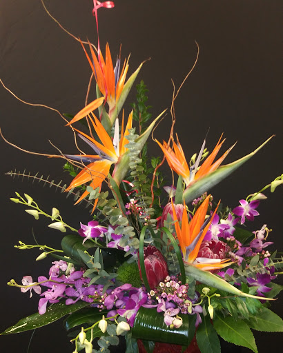 Tire Shop «KOVAC AUTO», reviews and photos, 2770 Davie Rd, Davie, FL 33314, USA