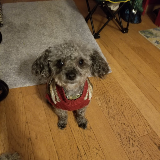 Pet Supply Store «Pet Supplies Plus», reviews and photos, 955 Co Rd E East #100, Vadnais Heights, MN 55127, USA