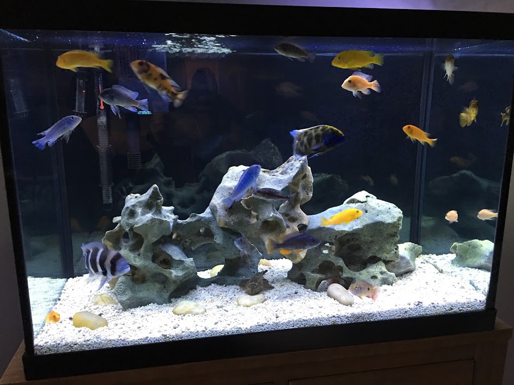 Detroit Aquarium Company Warren, MI Menu, Hours, Reviews and Contact