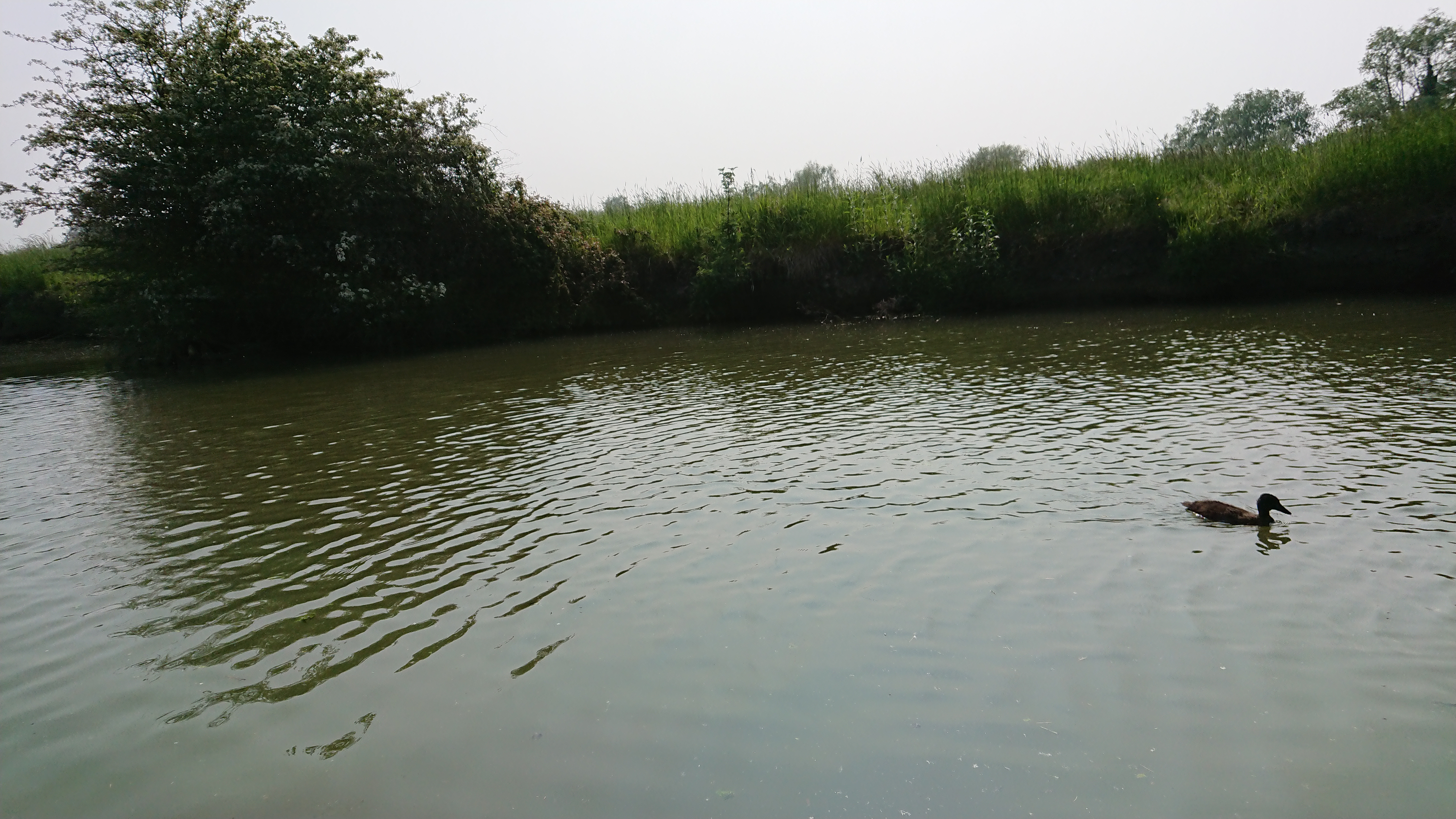 Photo n° 45 de l'avis de Perso.e fait le 20/05/2018 à 16:43