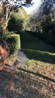 Vidéos hôtels Villa Le Rose 50029 Tavarnuzze