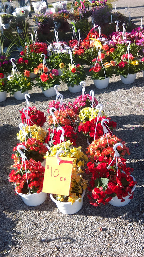 Flea Market «Armada Flea Market», reviews and photos, 25381 Armada Ridge Rd, Richmond, MI 48062, USA