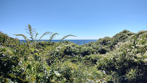 Hiking Area «Black Point Trailhead», reviews and photos, 655 Ocean Rd, Narragansett, RI 02882, USA