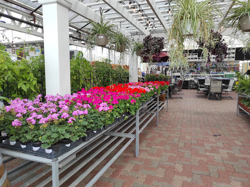 Hardware Store «La Grange Pk Ace Hardware Inc», reviews and photos, 900 E 31st St, La Grange Park, IL 60526, USA