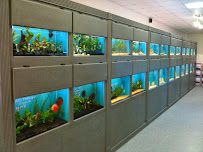 Aqua Hut - Photo 7 - Car repair in Prairieville, LA, Baton Rouge