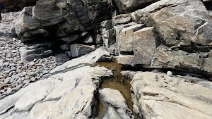 Fort Williams Park - photo 73