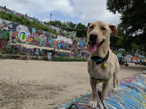 Art Gallery «HOPE Outdoor Gallery», reviews and photos, 1101 Baylor St, Austin, TX 78703, USA