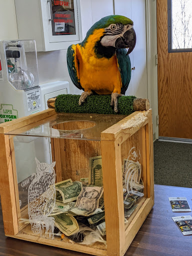 Nature Preserve «Carpenter Nature Center», reviews and photos, 12805 St Croix Trail S, Hastings, MN 55033, USA