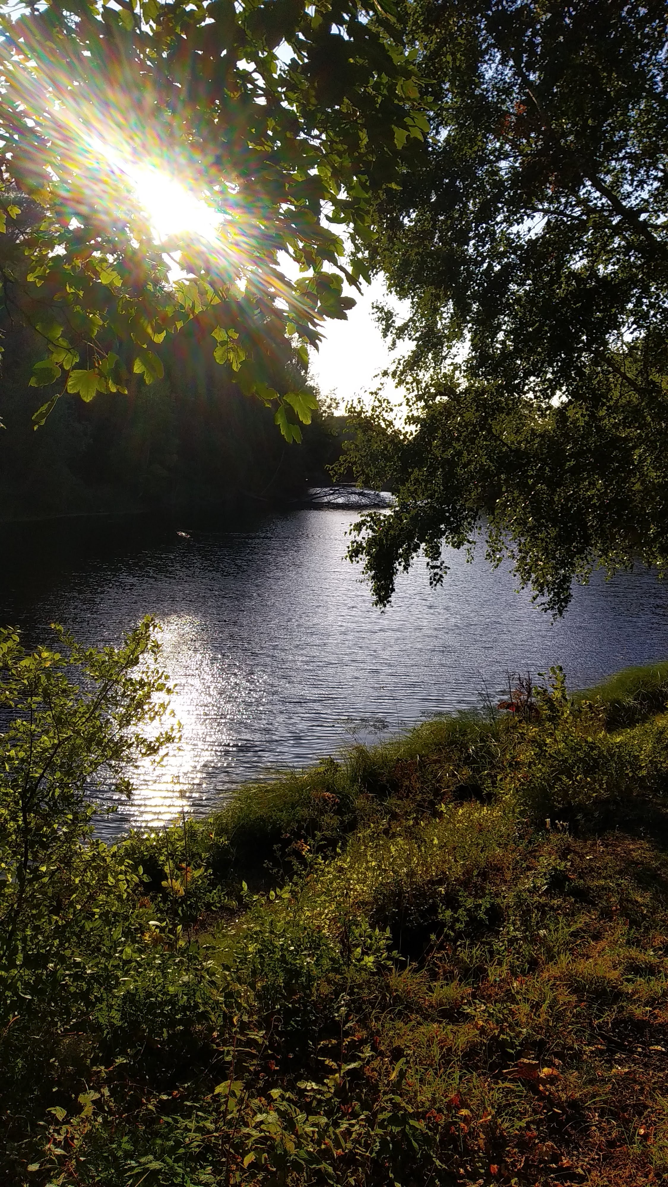 Photo n° 5 de l'avis de Philippe.a fait le 05/09/2019 à 14:39