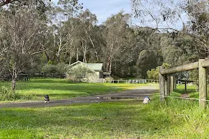 Bucks Walking Trail image