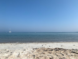 MBL Stony Beach'in fotoğrafı ve yerleşim
