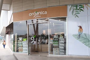 Organica Store Costa del Este image