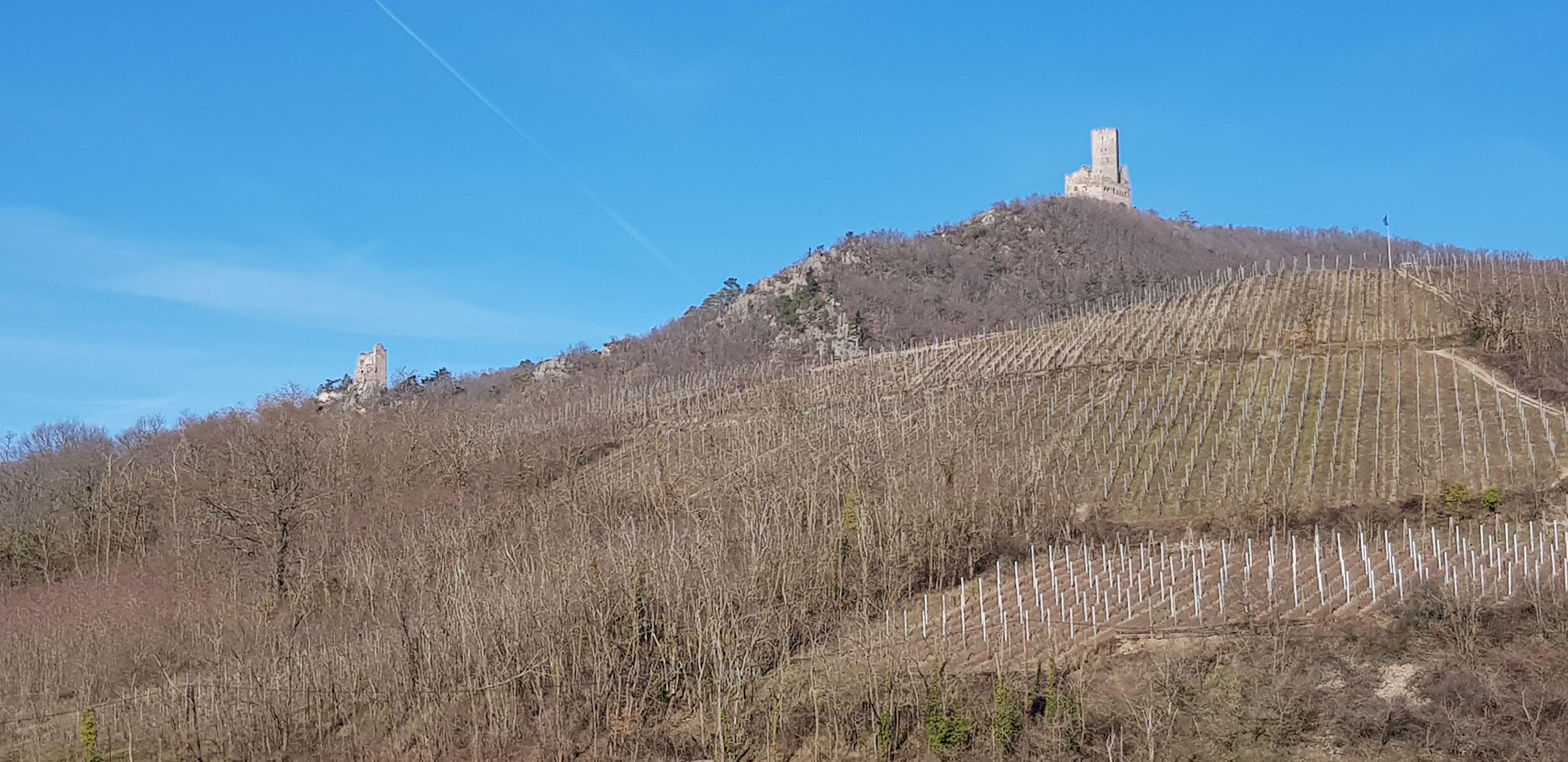 Photo n° 18 de l'avis de Denis.� fait le 21/02/2019 à 07:01