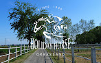 Holiday Horse ASD