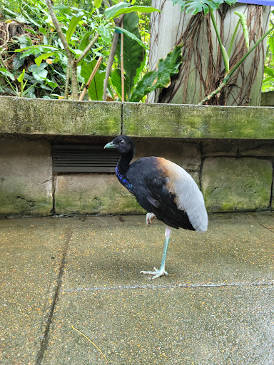 Zoo «Rainforest Pyramid», reviews and photos, 1 Hope Blvd, Galveston, TX 77554, USA