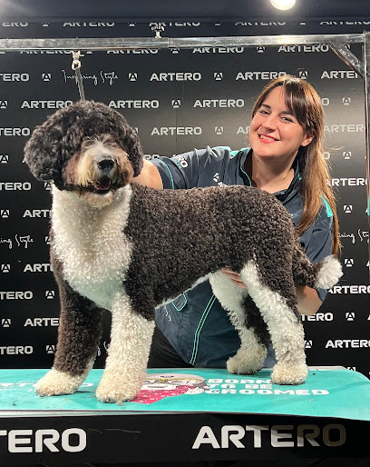 Imagen de PERRUQUERIA I ESTÈTICA CANINA ISA MONZÓ