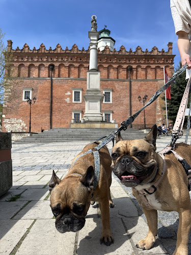 Centrum Weterynarii s c Sklep z art dla zwierząt - Wołczyn