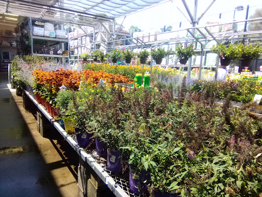 Home Improvement Store «The Home Depot», reviews and photos, 785 New York Ave, Huntington, NY 11743, USA