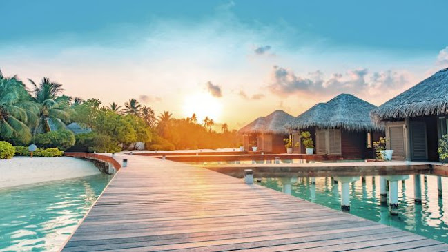 Agencia de viajes My Horizon