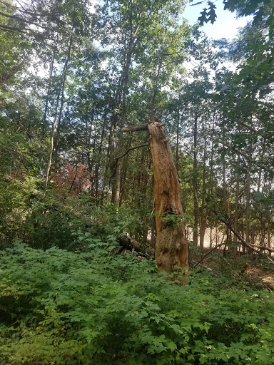 Golf Course «Saratoga Spa Golf Course», reviews and photos, 60 Roosevelt Dr, Saratoga Springs, NY 12866, USA