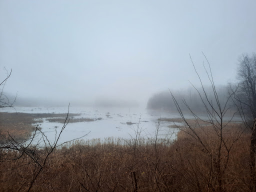 Nature Preserve «Beaver Meadow Audubon Center», reviews and photos, 1610 Welch Rd, Java Center, NY 14082, USA