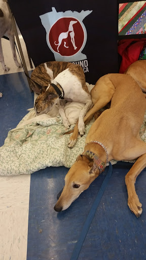 Pet Supply Store «Petco Animal Supplies», reviews and photos, 710 W 66th St, Richfield, MN 55423, USA