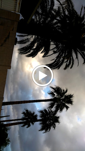 Park «Conocido Park», reviews and photos, 15645 N 31st Dr, Phoenix, AZ 85053, USA