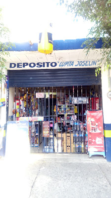 Deposito Lupita Joselin C. Crespo 160, San Pedro de los Hernandez, 37280 León de los Aldama, Gto., México