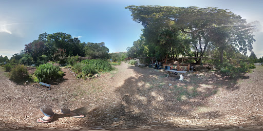 High School «San Domenico School», reviews and photos